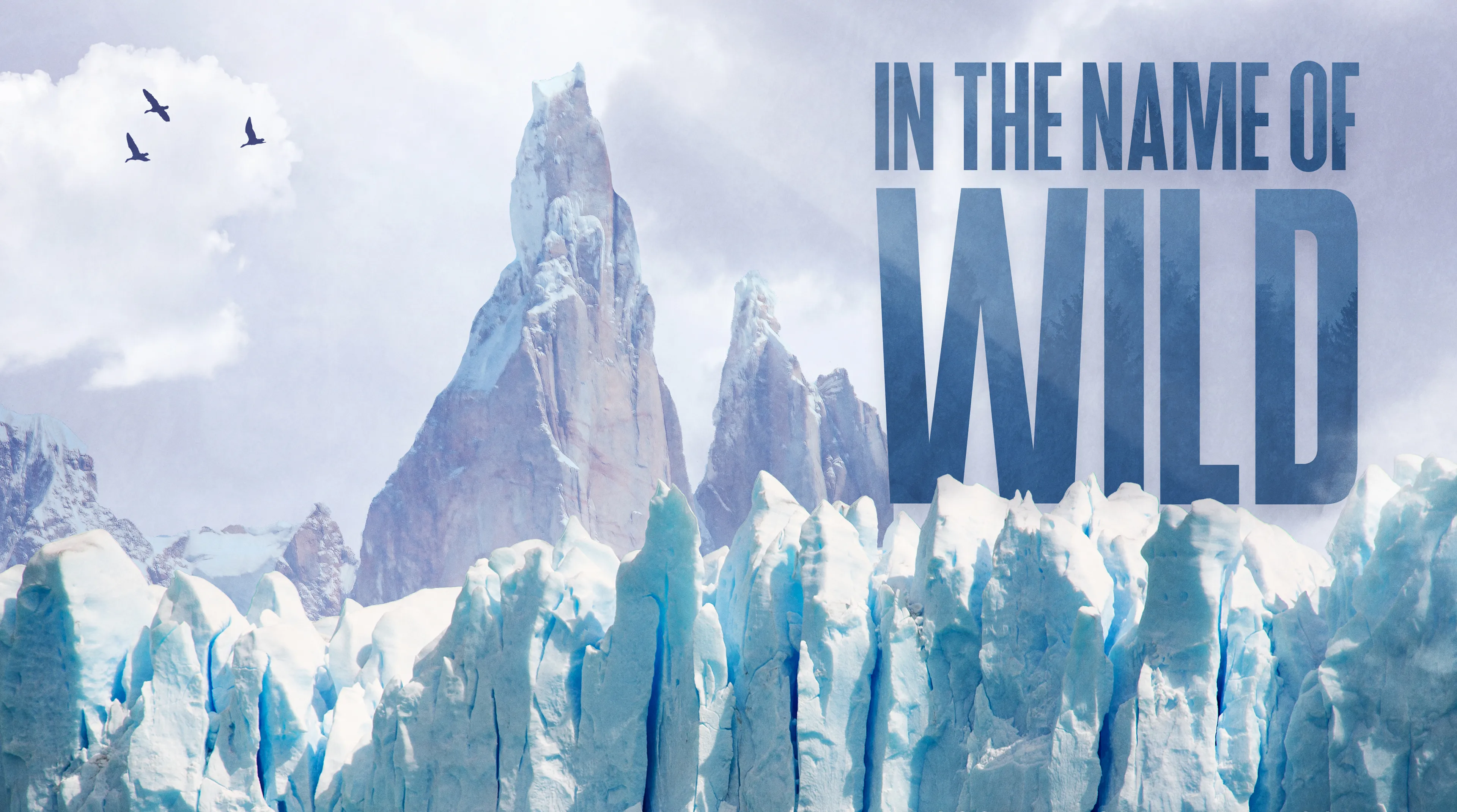 In the Name of Wild poster